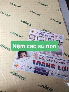 Nệm Mousse Minh Tâm - NMMT004
